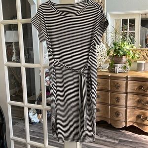 Womens Jersey Dress
